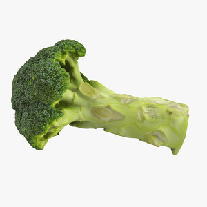 3d broccoli model