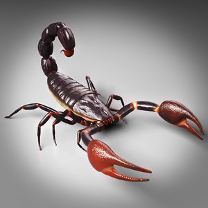 scorpion rig animation 3d model