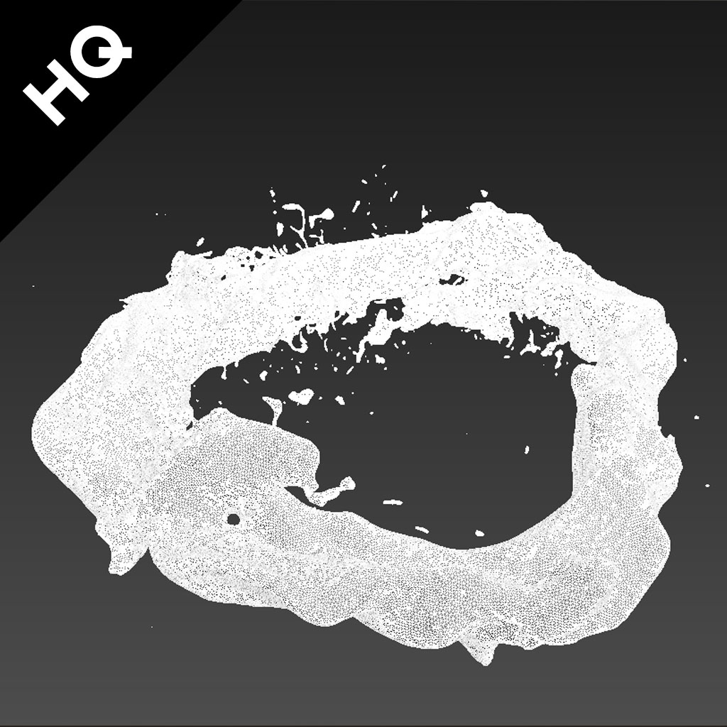 3d Splash Realflow Flow Model