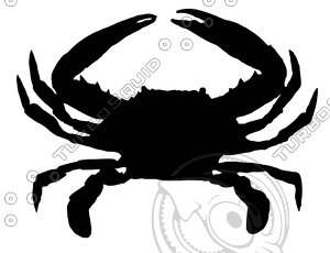Vector Crab