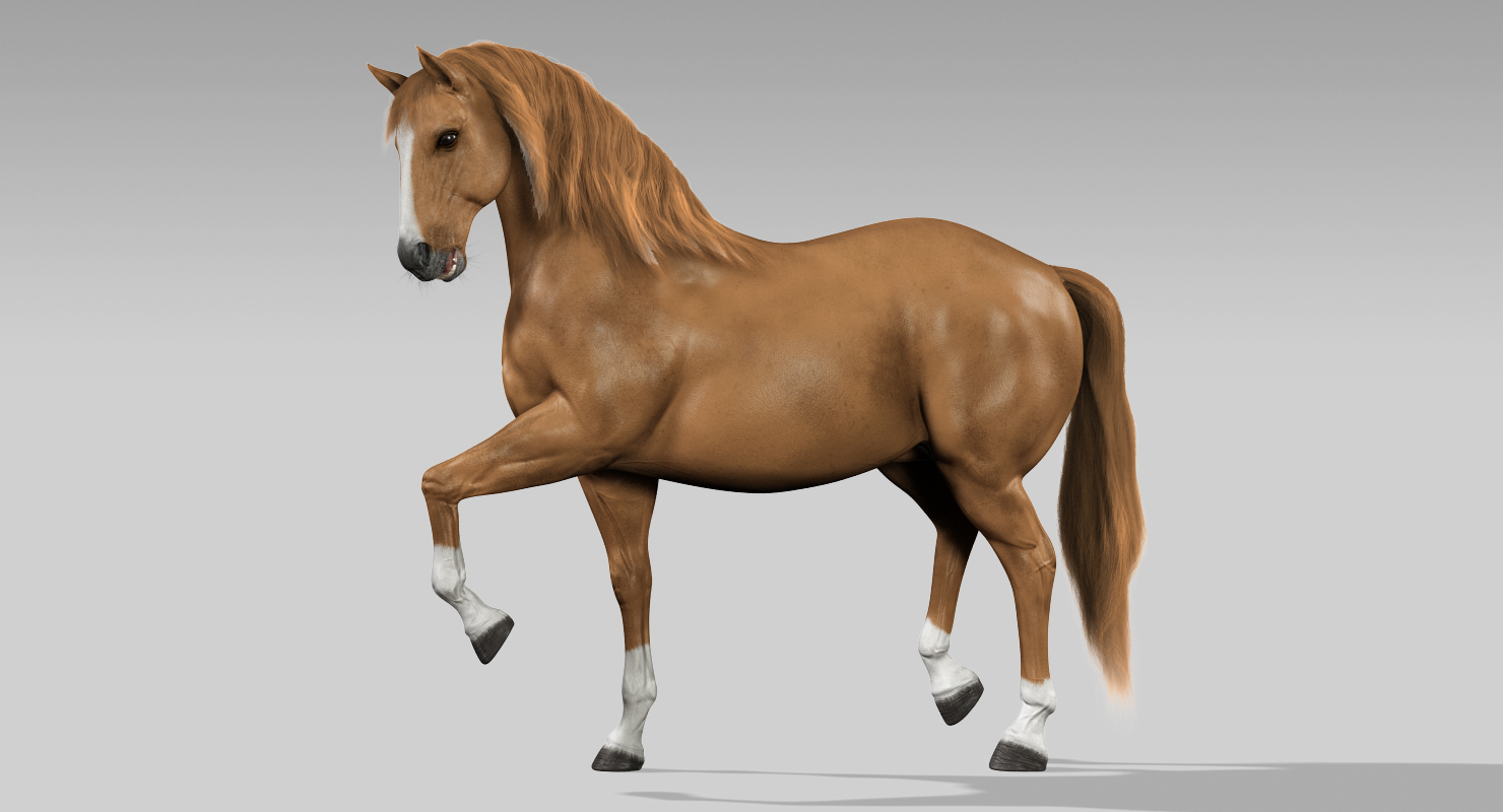 马(浅棕色)(动画)(毛皮)3d模型