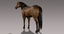 horse brown fur animation 3d model