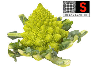 3d romanesco broccoli ultra hd model
