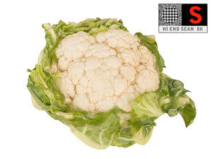 cauliflower ultra hd 8k 3d model