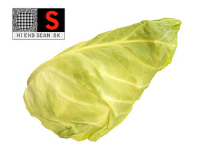 3d model lettuce 8k