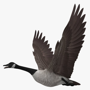 Canada goose plumas 3d Outlet