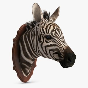 zebra head trophy 3d model
