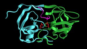 3d model protease enzyme protein