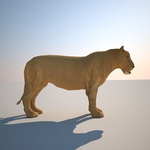 3d lion model