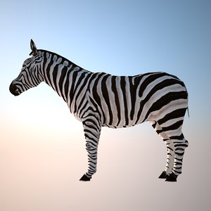 zebra 3d max