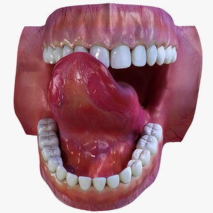 human mouth teeth 3d max