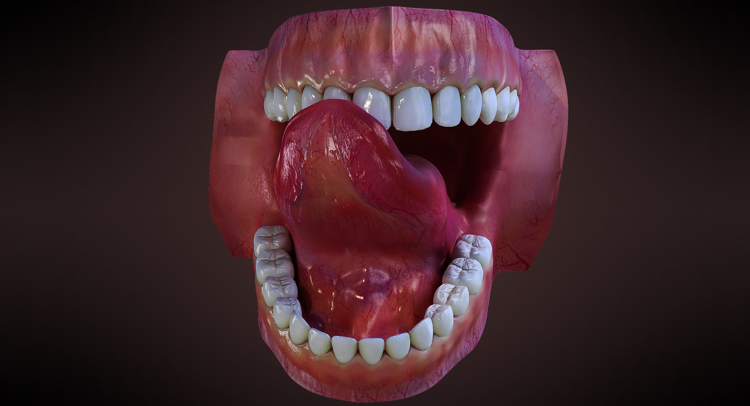 human mouth teeth 3d max