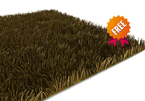 free carpet modelled 3d model