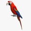 obj ara macao scarlet macaw