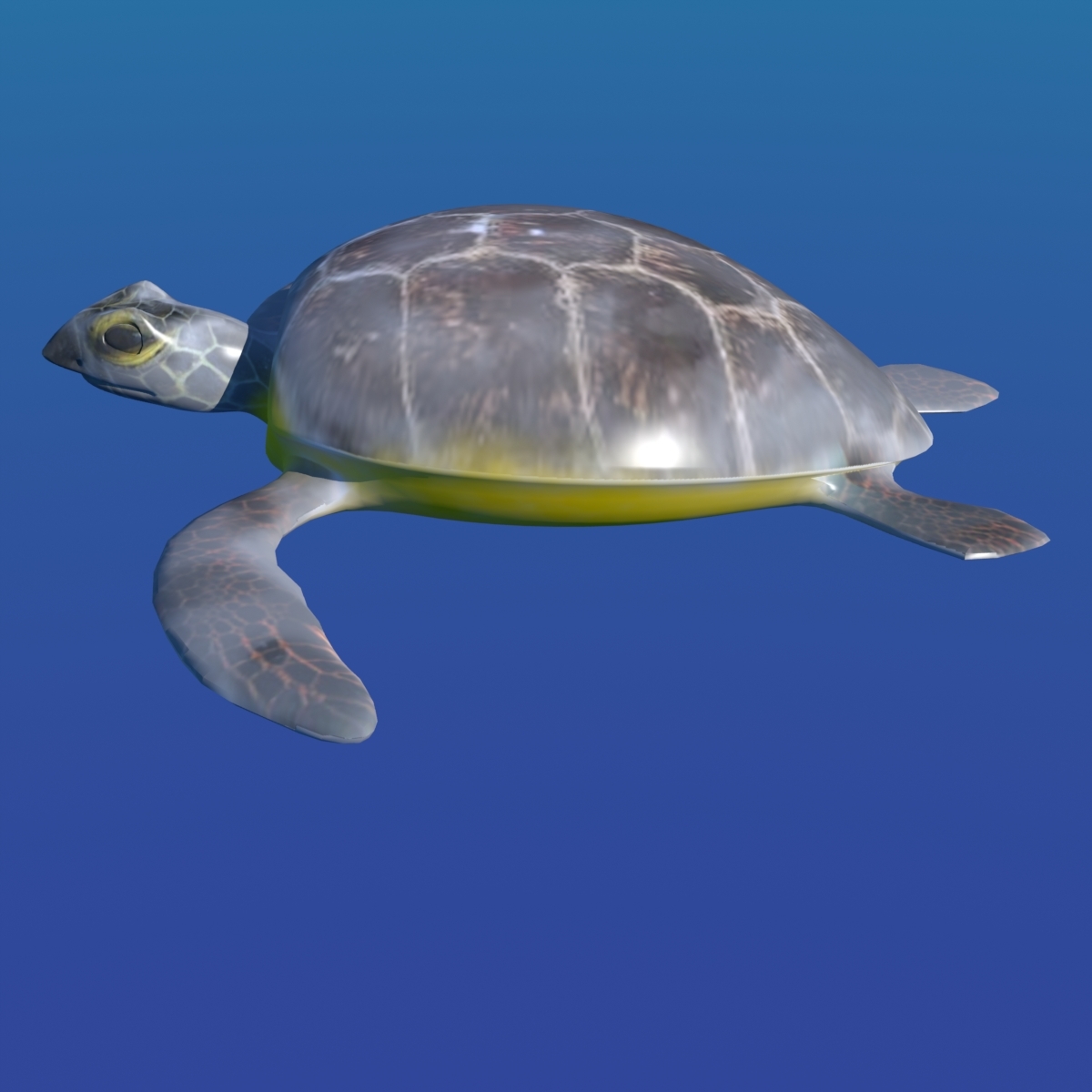 turtle 3d x