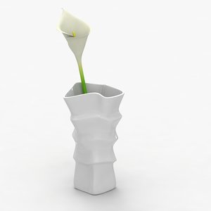 3d modern vase flower model