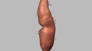 3d sweet potato model
