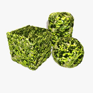 Bush Seamless Texture