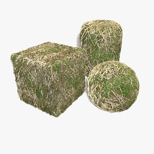 Straw Grass Seamless Texture
