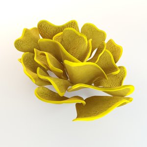 3d model yellow coral