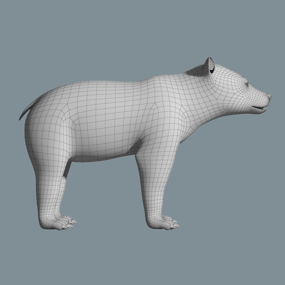 棕熊(fur)3d模型