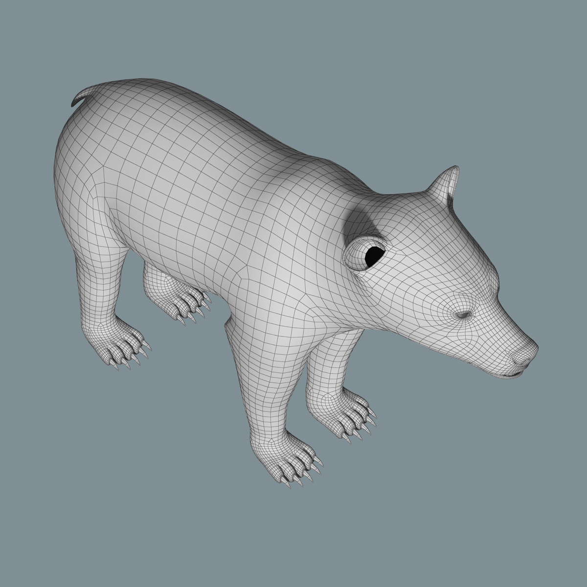 棕熊(fur)3d模型