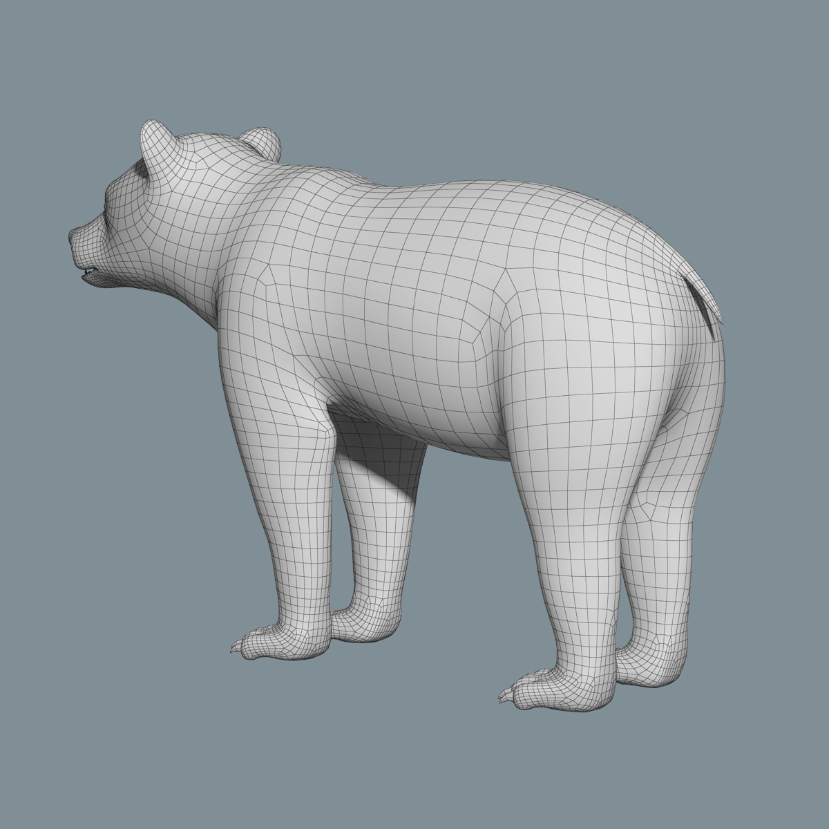 棕熊(fur)3d模型