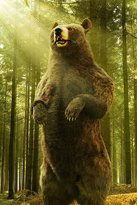 3d photorealistic bear fur