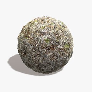 Pine Cones and Needles Seamless