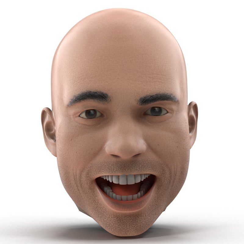 3d male head rigged model