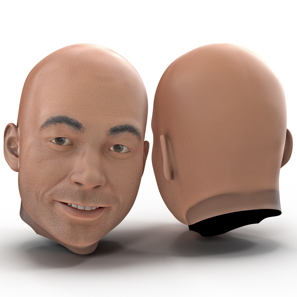 3d male head rigged model