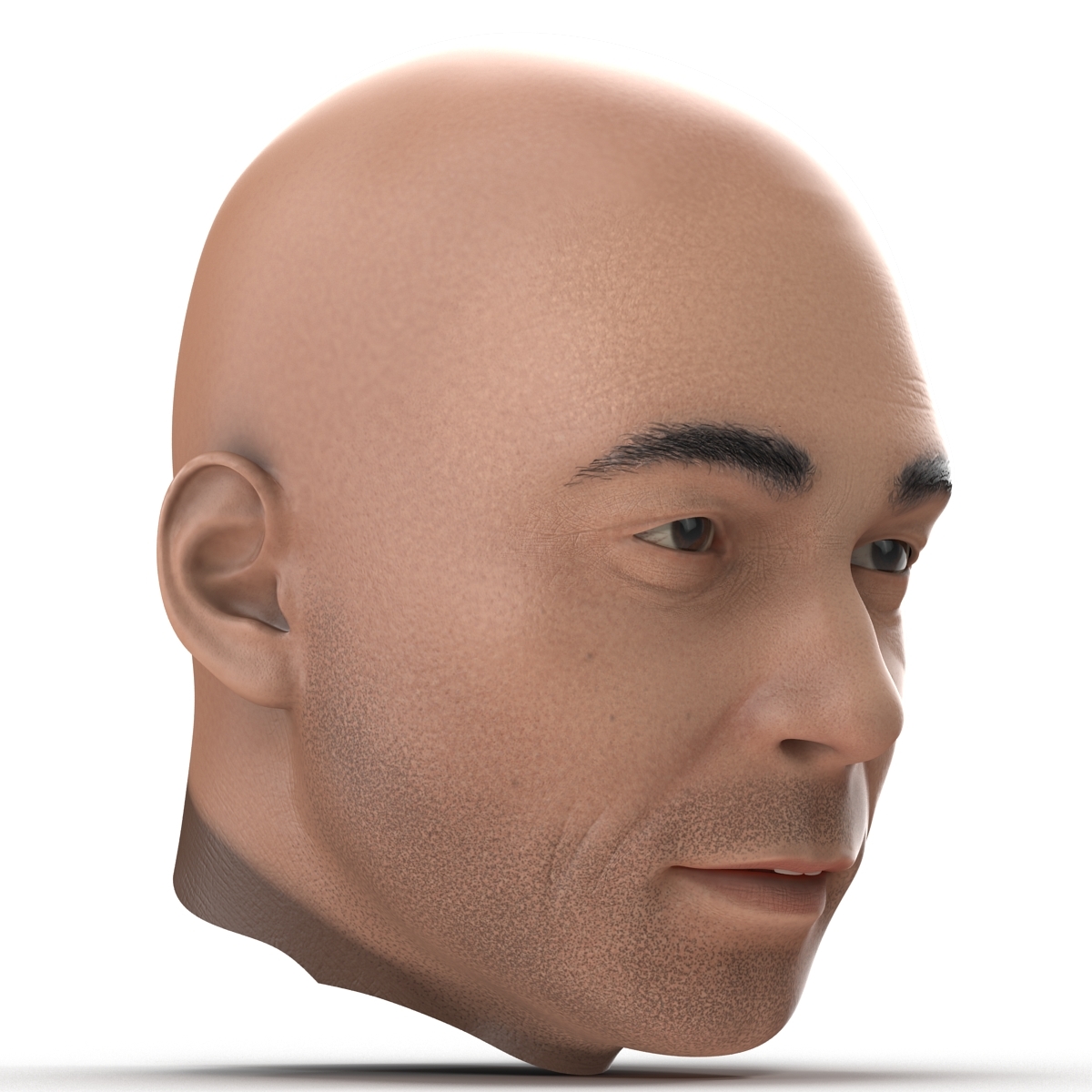 3d male head rigged model