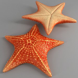 starfish star 3d max