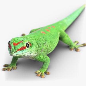 gecko lizard 3d model