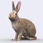 3d model wild animal - hare