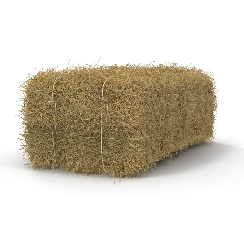 3d model hay bale