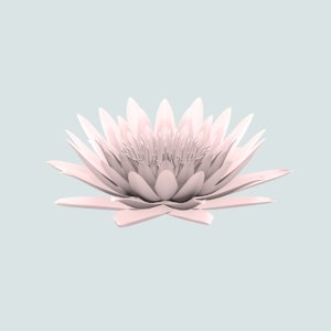 3ds flower nelumbo nucifera