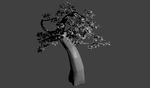 maya bonsai tree