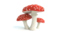set mushrooms 3d model
