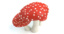 set mushrooms 3d model