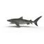 3d model tiger shark swimming modeled