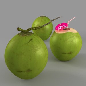 3ds max coconut nut coco