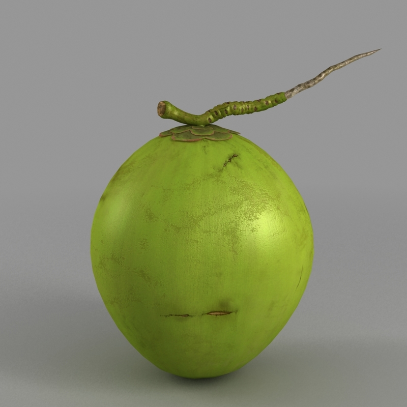 3ds max coconut nut coco