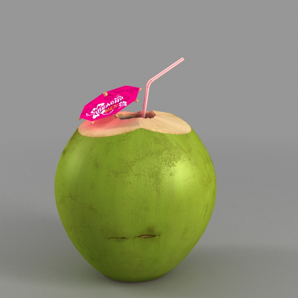 3ds max coconut nut coco