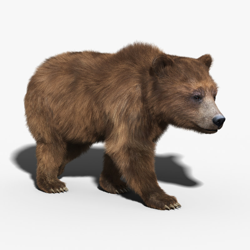 Blender Free Rigged Bear Model Free Roblox Robux Games That Actually Work - bear rig roblox