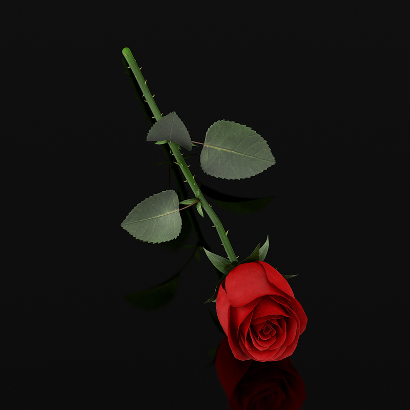 red rose 3d model