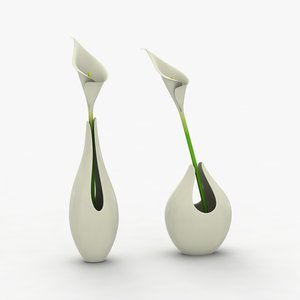 3d modern vases flowers model
