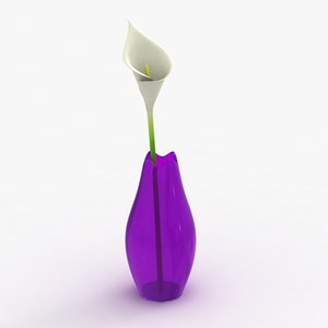 3d modern vase flower model