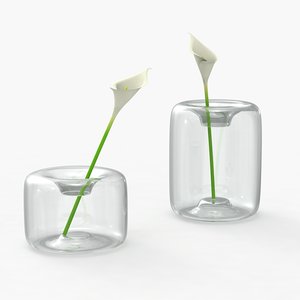 max modern vases flowers