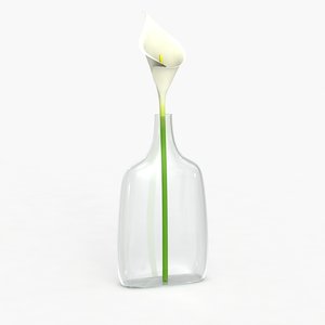max modern vase flower